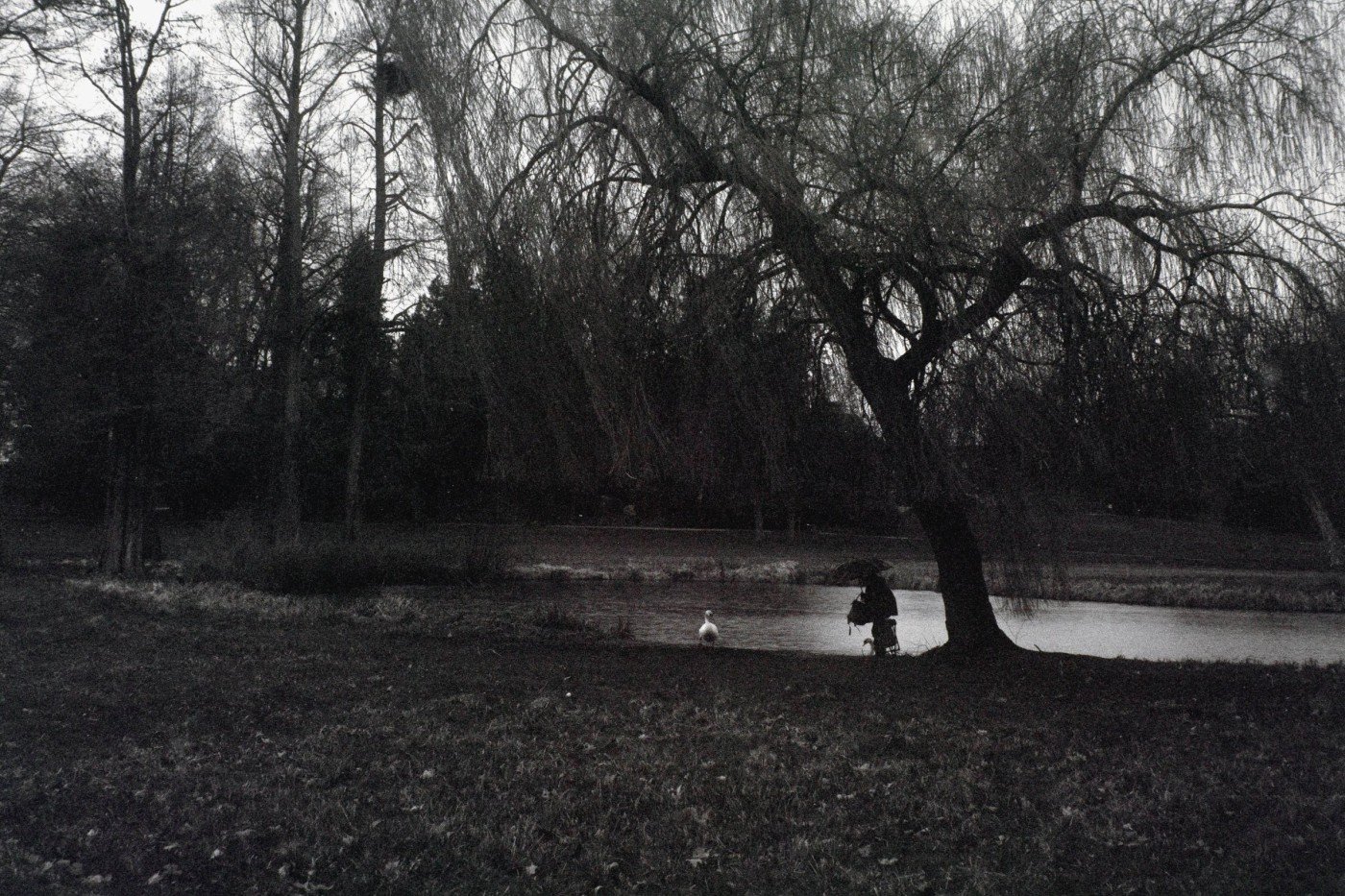 Noir et blanc — 17