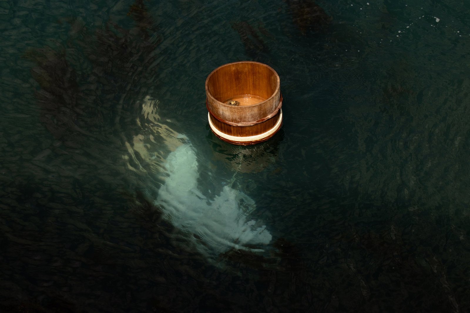 J&rsquo;ai rêvé du Japon — seau sur l eau