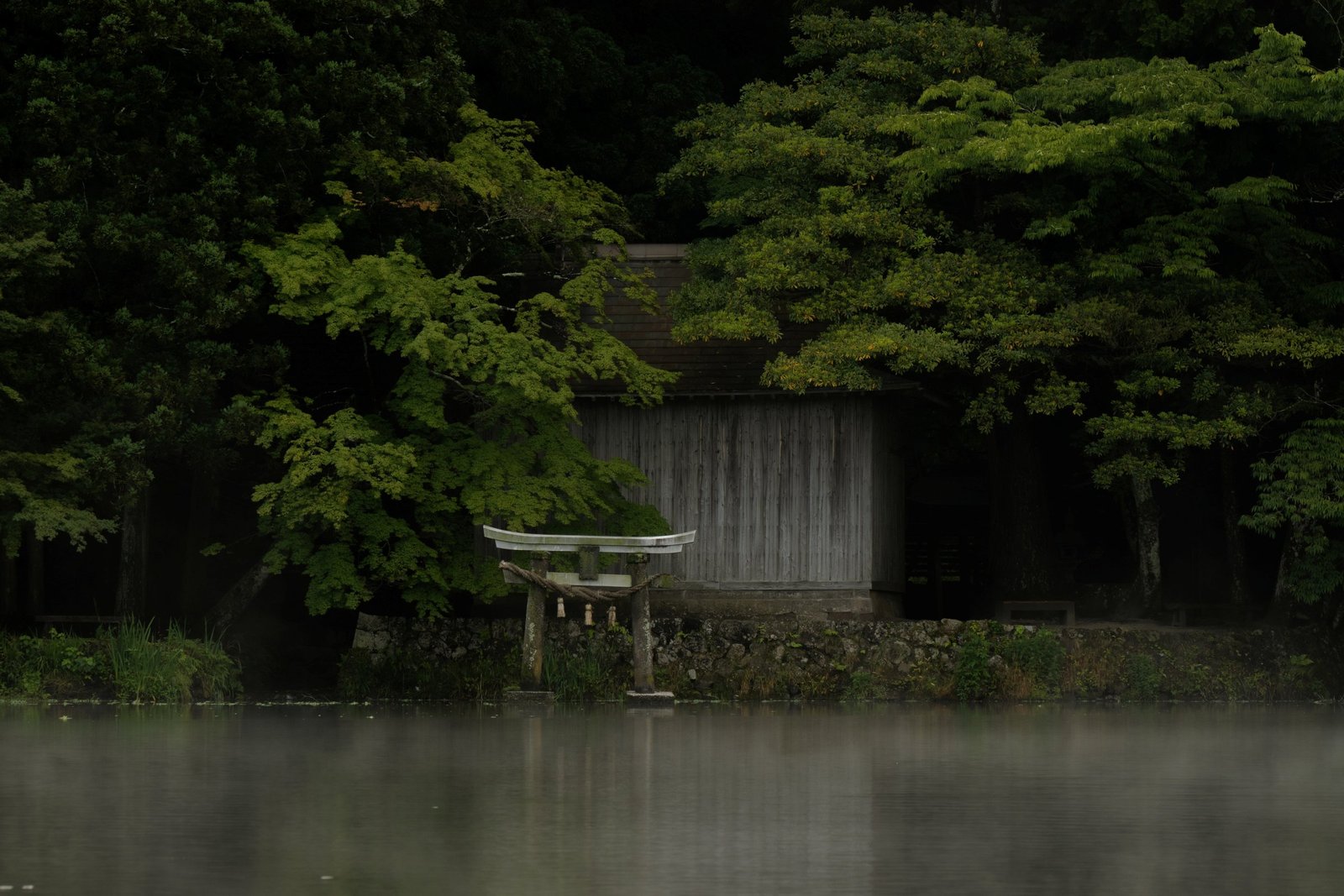 J&rsquo;ai rêvé du Japon — torii dans la brume